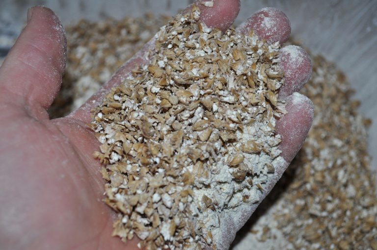 Grain Conditioning The Modern Brewhouse